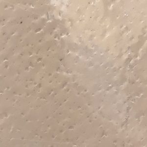 Meet your Posher, Jairo